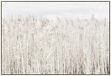 Posters, Paintings & Prints: Pampas Grass Framed Canvas Wall Art 120cm