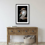 Posters, Paintings & Prints: Mystery Kookaburra Artwork Framed W Glass Front 80x120cm