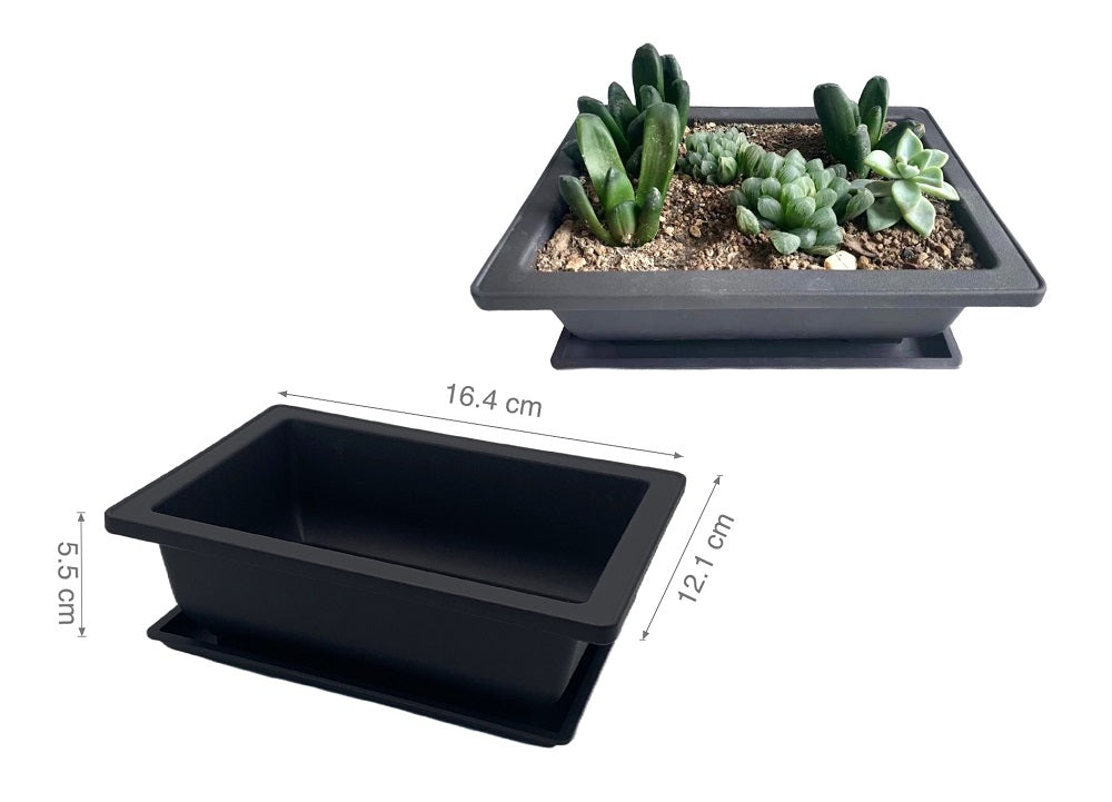 Artificial Flowers & Plants: bulk 24 Bonsai Succulent Planter w Tray 16cm