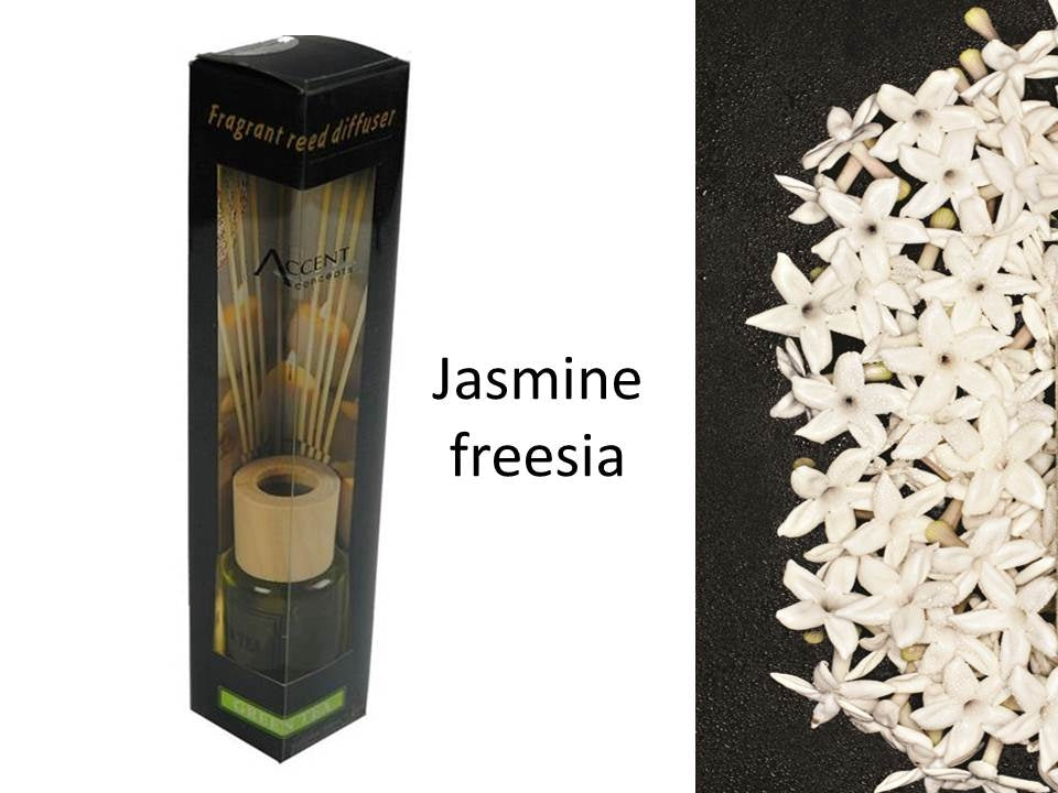 Aroma Diffusers: bulk 24 Scented Oil Diffuser Jasmine Freesia 50Ml 8 Rattan Sticks