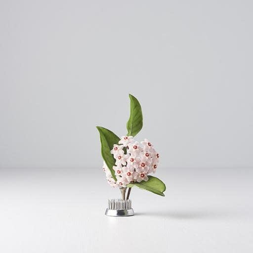 Kenzan Ikebana Pin Base