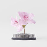 Kenzan Ikebana Pin Base 7.6cm Fan