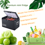 Camping Appliances: ASMOKE Premium Mini Fridge | 47L Compact Refrigerator with Roll-Bond Evaporator & Internal Light