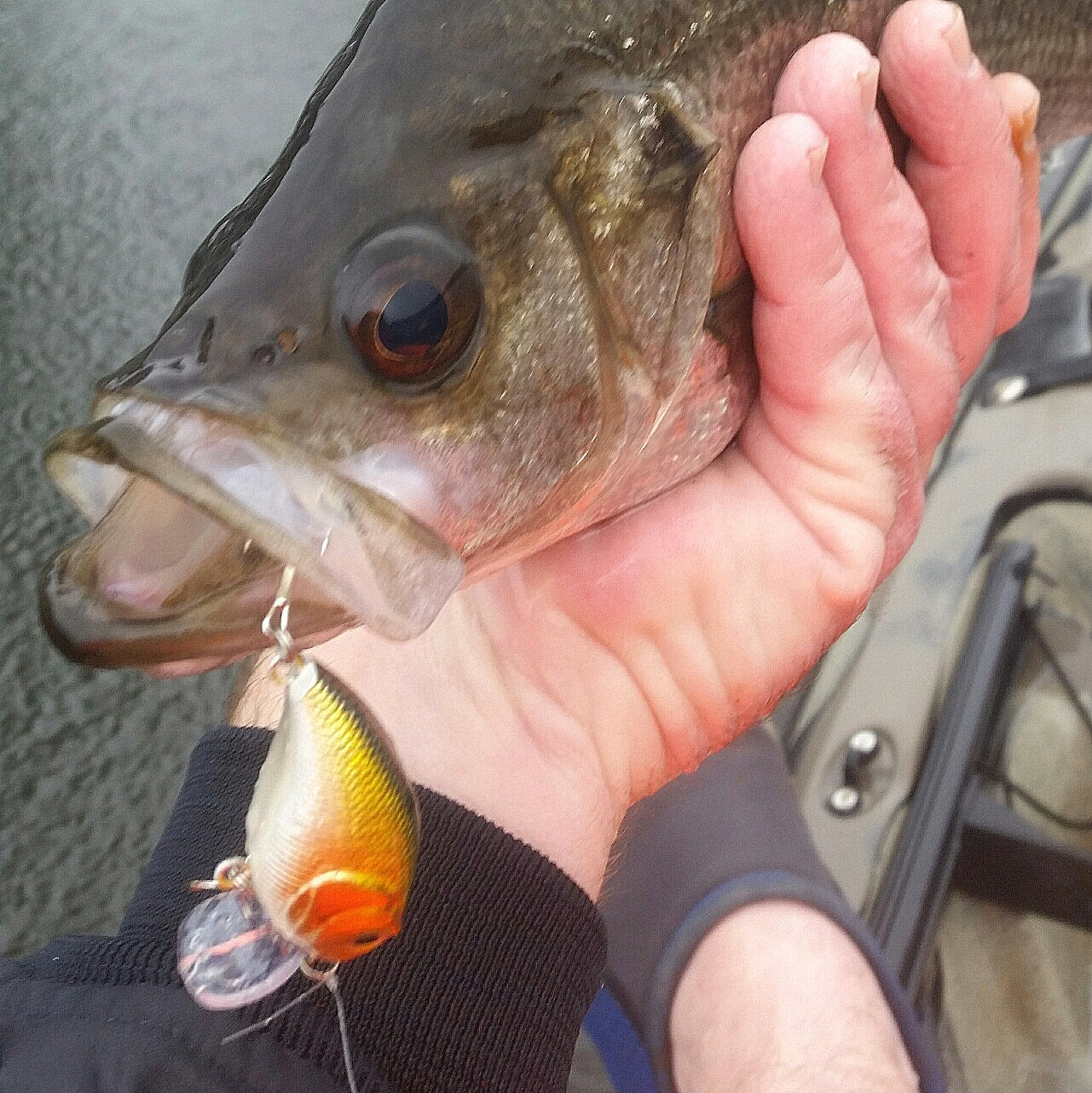 Fishing Tackle: Toppu Mizzu Wakebait, 55mm, Purple Flash