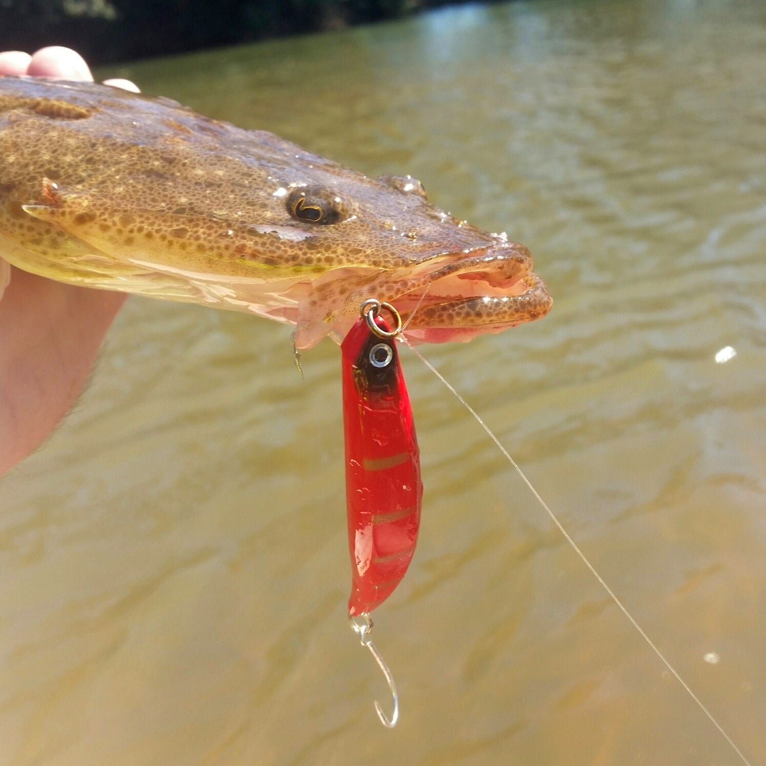 Fishing Tackle: Toppu Mizzu Sidewinder Bent Minnow, 95mm, Opaque Gold