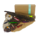 Fishing Tackle: The Top Water Fishers Gift Set