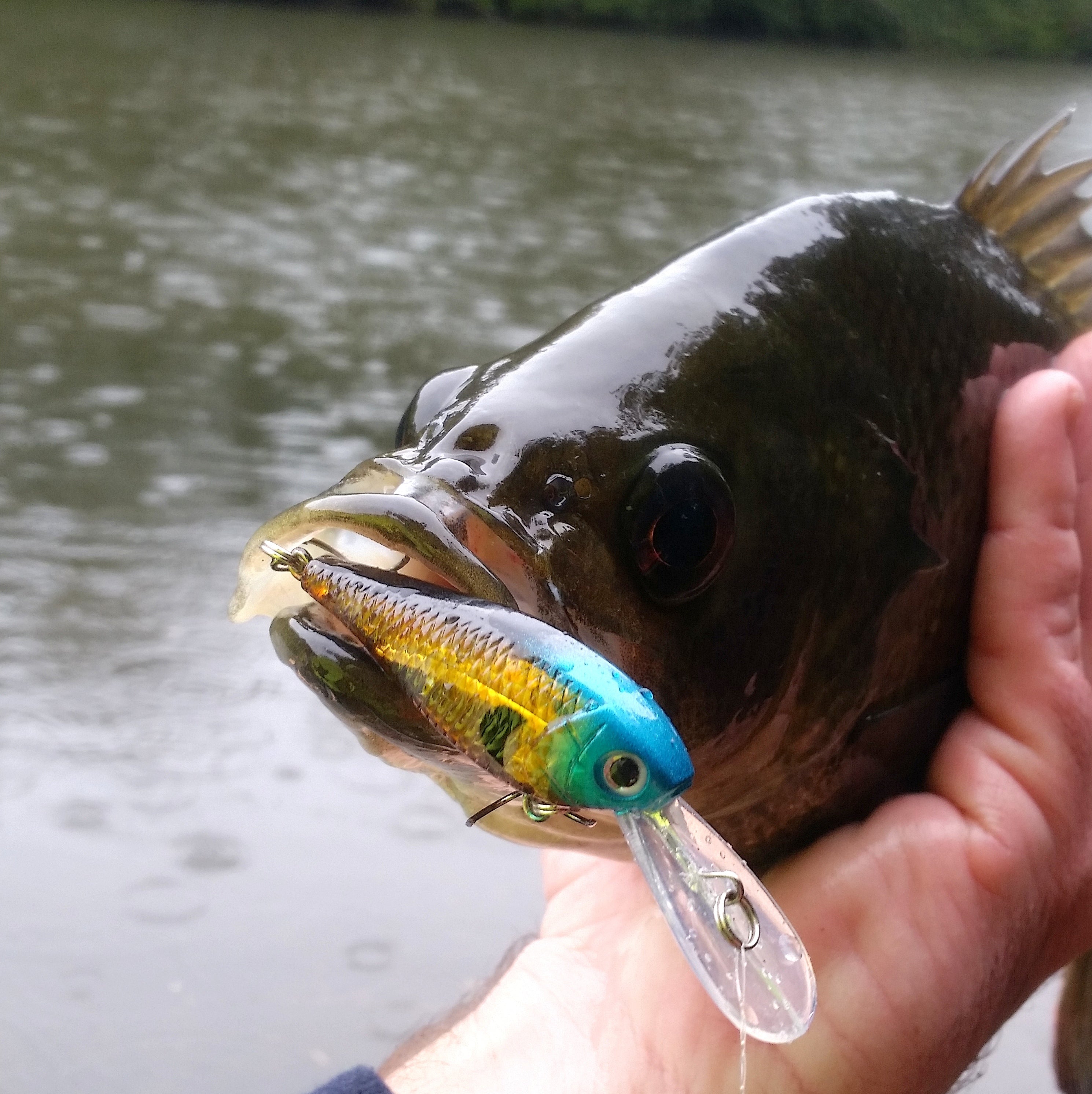 Fishing Tackle: Hook Line & Sinker Gift Pack