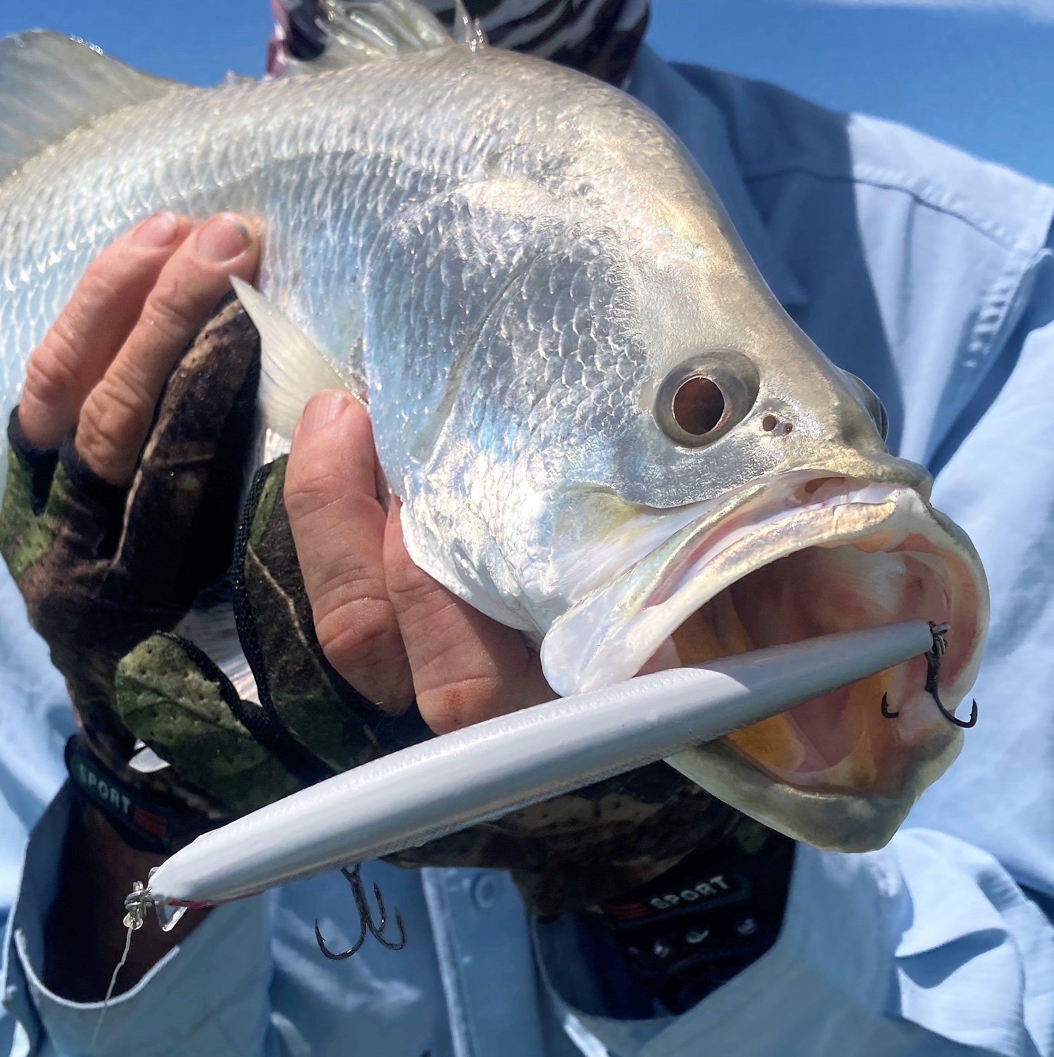 Fishing Tackle: Travellers Lure Fishing Gift Pack