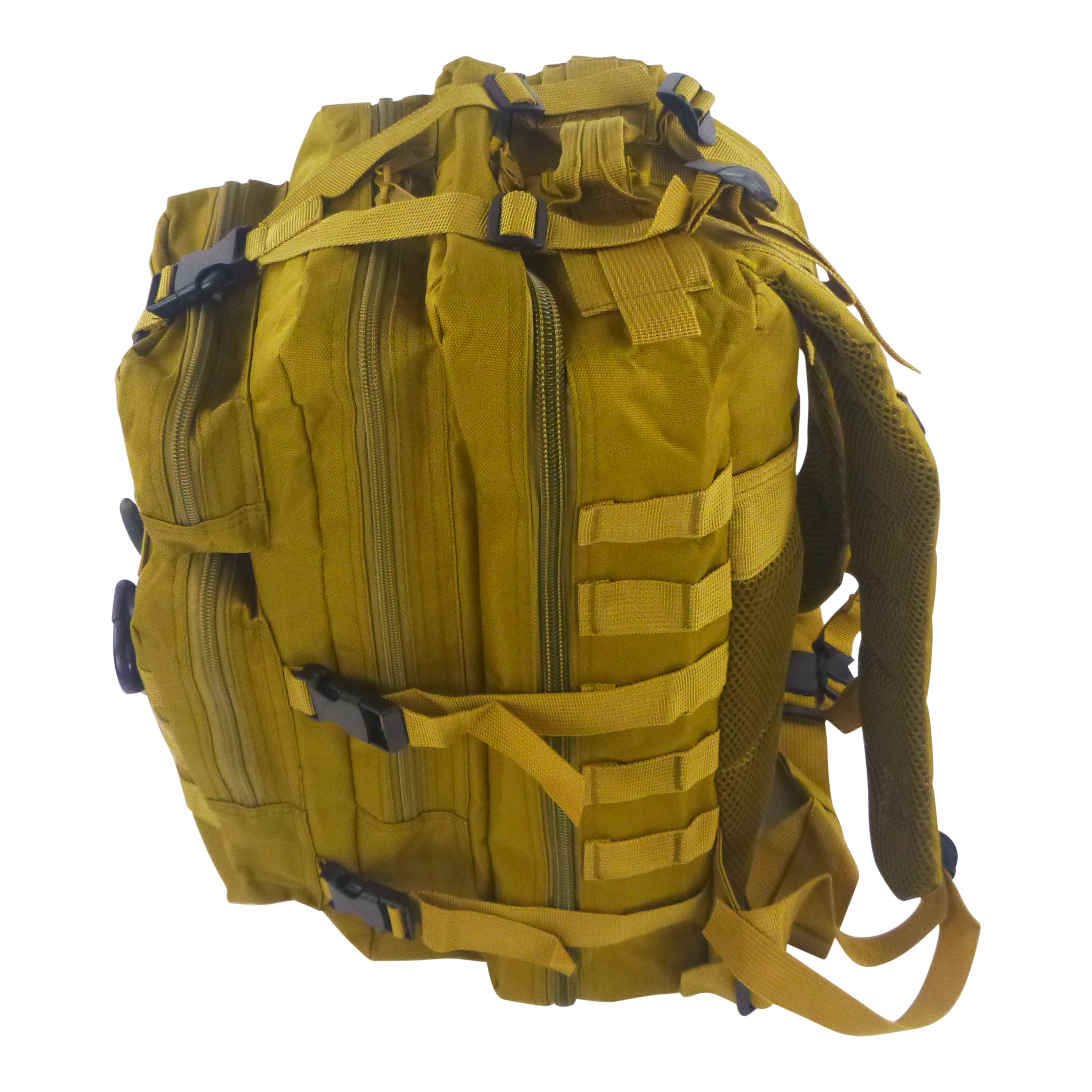 Fishing Tackle: BSTC Fishers Back Pack, Tan