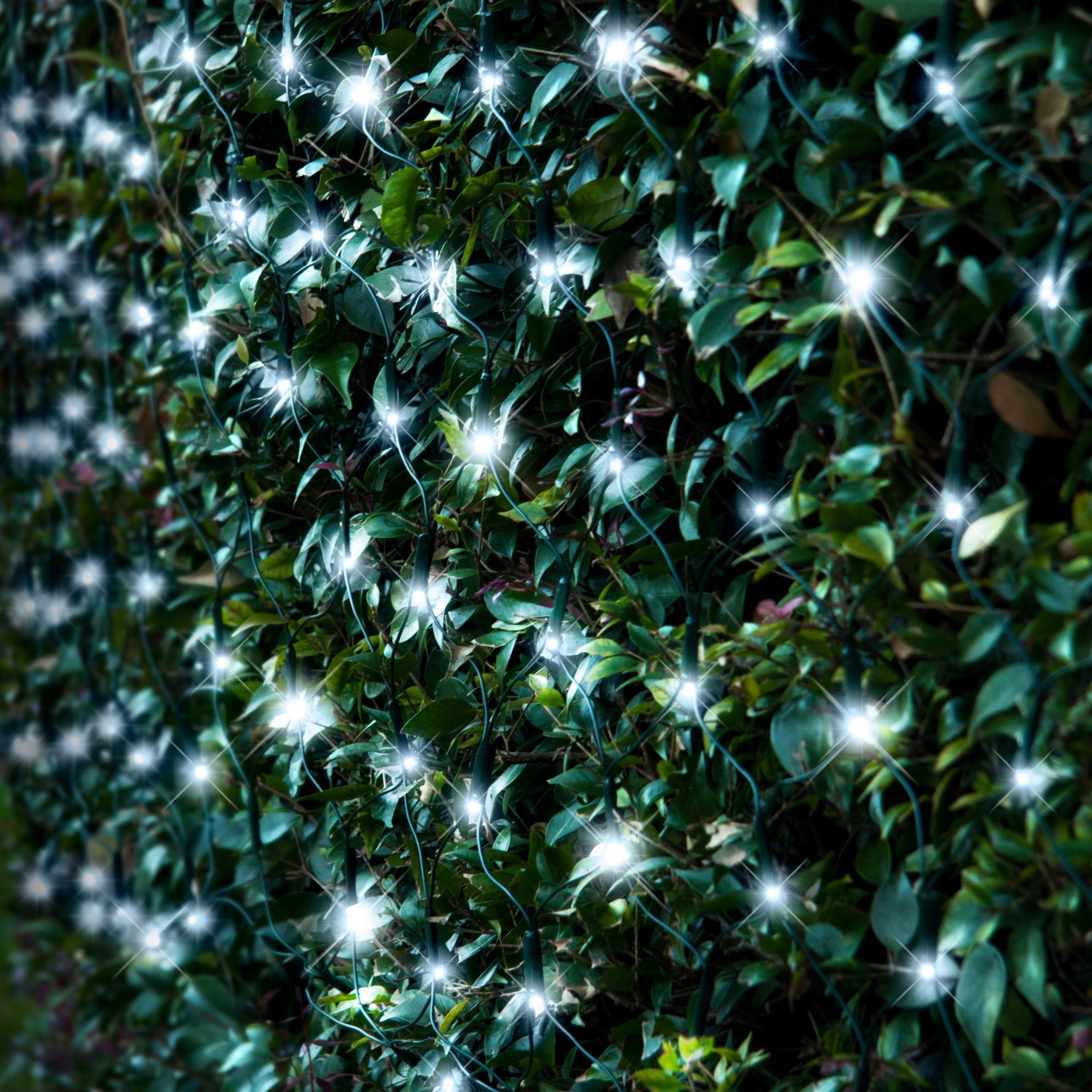 Outdoor Decorations & Lights: Solar 150 LED Net Light available in 4 Colors - Multicolor
