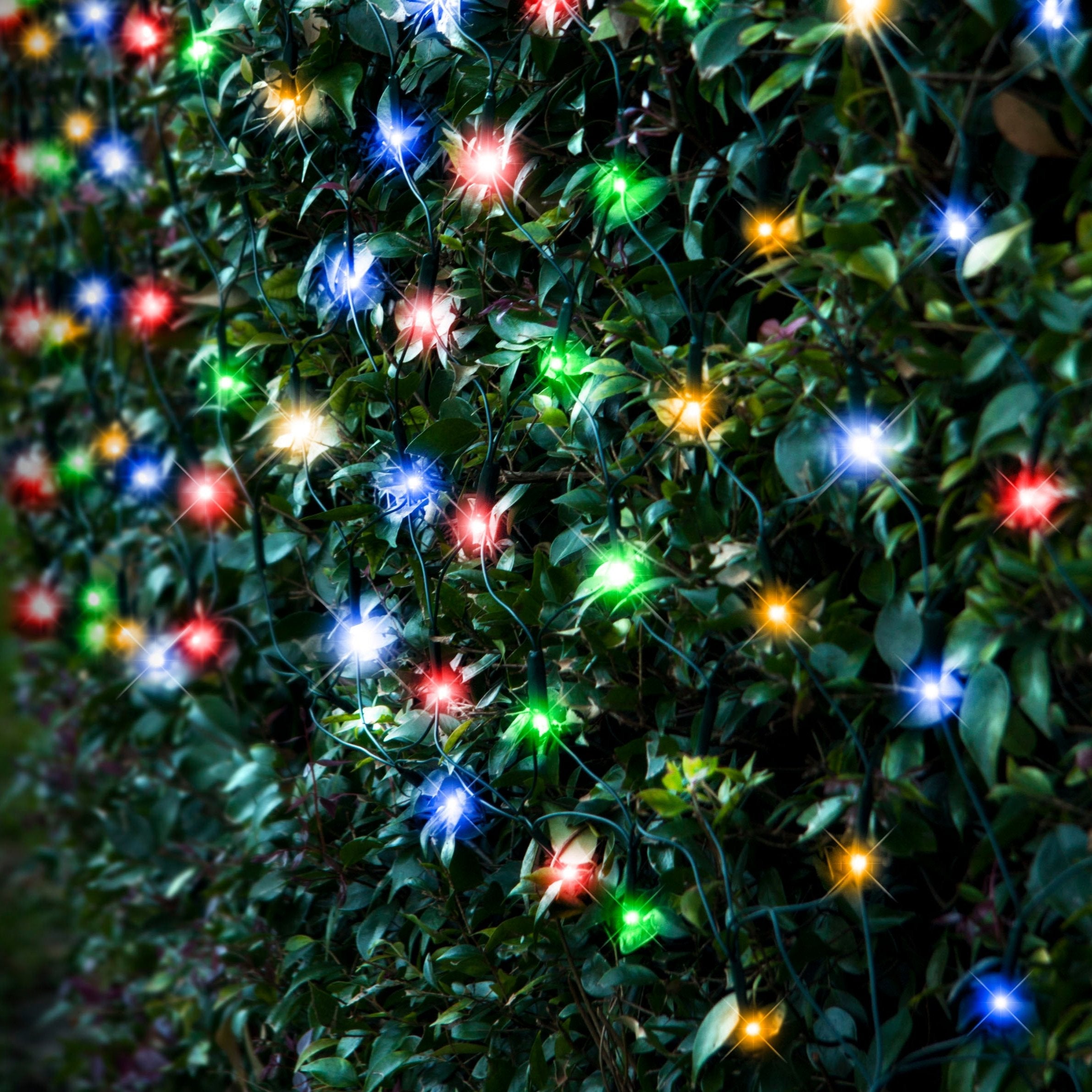 Outdoor Decorations & Lights: Solar 150 LED Net Light available in 4 Colors - Multicolor