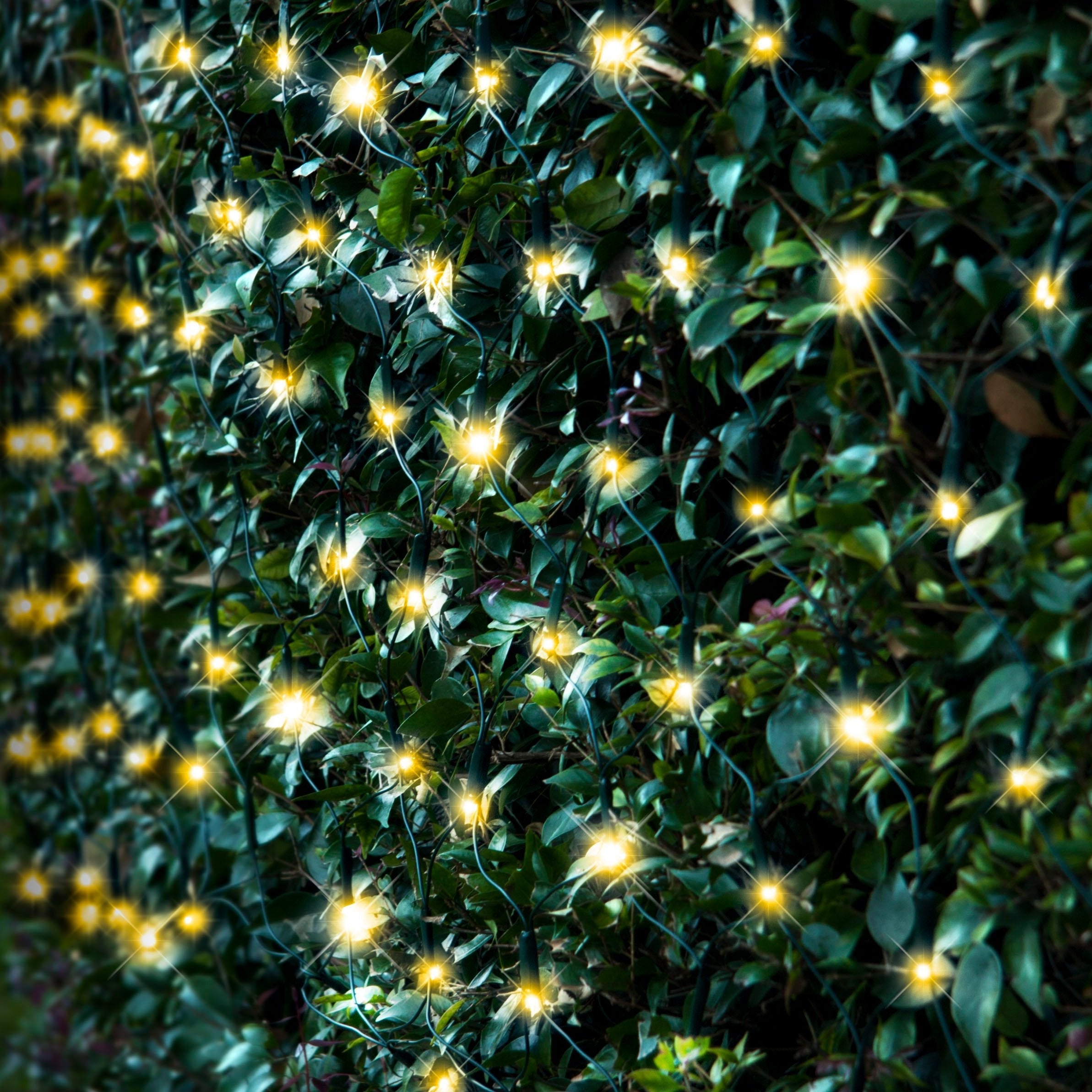 Outdoor Decorations & Lights: Solar 150 LED Net Light available in 4 Colors - Multicolor