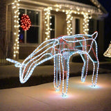 Outdoor Decorations & Lights: LED Ropelight Standing Reindeer Small Moving Cool White available in 2 types - Feeding