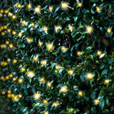 Outdoor Decorations & Lights: Solar 250 LED Net Light available in 3 Colors - Warm White