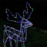 Outdoor Decorations & Lights: LED Twinkling Standing Reindeer  110cm available in 2 Colors - Cool White