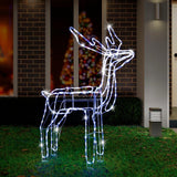 Outdoor Decorations & Lights: LED Twinkling Standing Reindeer  110cm available in 2 Colors - Cool White