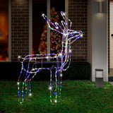 Outdoor Decorations & Lights: LED Twinkling Standing Reindeer  110cm available in 2 Colors - Cool White