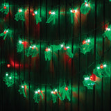 Outdoor Decorations & Lights: 40 Pack LED Holly Lights