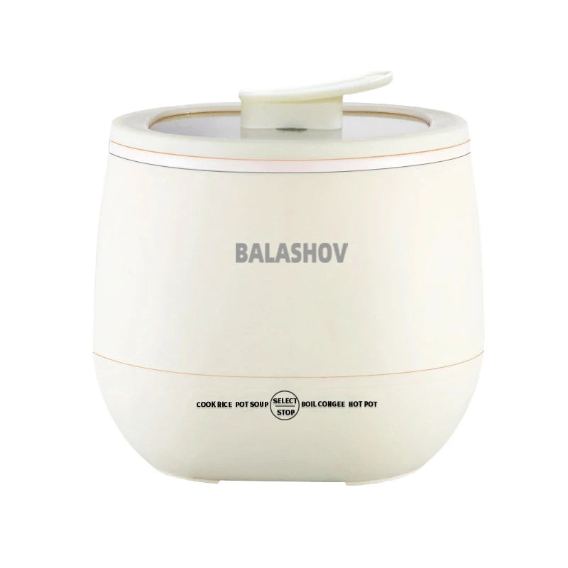 Rice Cookers & Steamers: NNEOBA 1.8L Multifunctional Electric Mini Rice Cooker