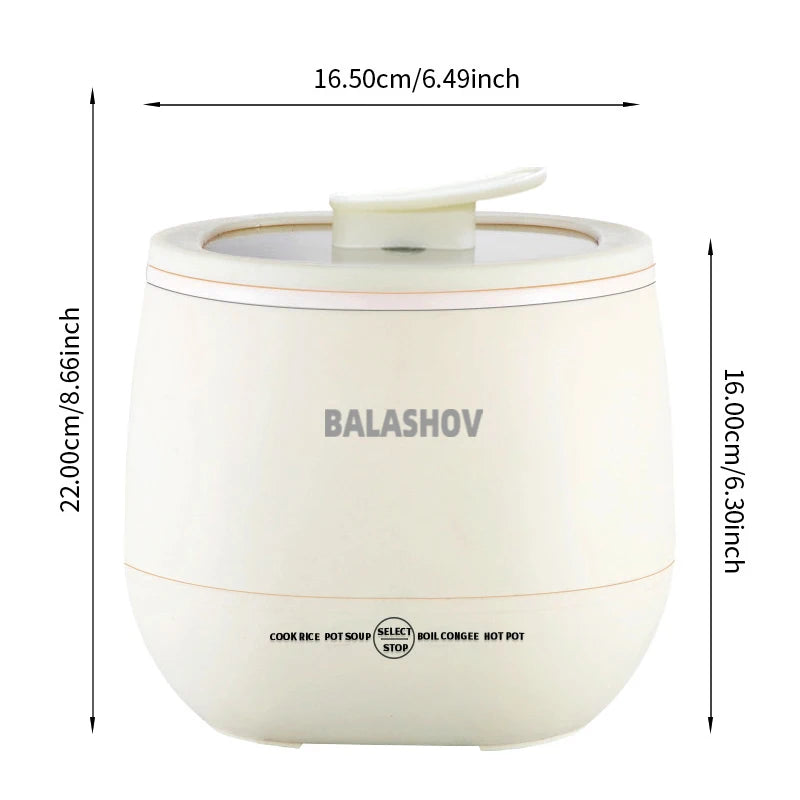 Rice Cookers & Steamers: NNEOBA 1.8L Multifunctional Electric Mini Rice Cooker