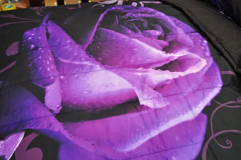 Quilts & Duvets: Rose Golden Hour Comforter Set  Aesthetic 3‑Piece Bedroom Mood