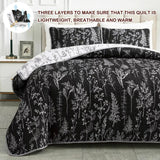 Blankets & Throws: Cultured Quilted Coverlet and Pillowcases Set: Style Meets Functionality - Queen size