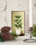 Candle Accessories: casa-verde-vintage-tin-oval-sconce-holly-21cm