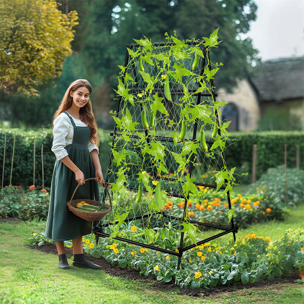 Garden Beds & Planters: FIN Metal Garden Trellis Arch Climbing Plants Grow Support Frame with Ground Spikes