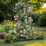 Garden Beds & Planters: FIN Metal Garden Trellis Arch Climbing Plants Grow Support Frame with Ground Spikes
