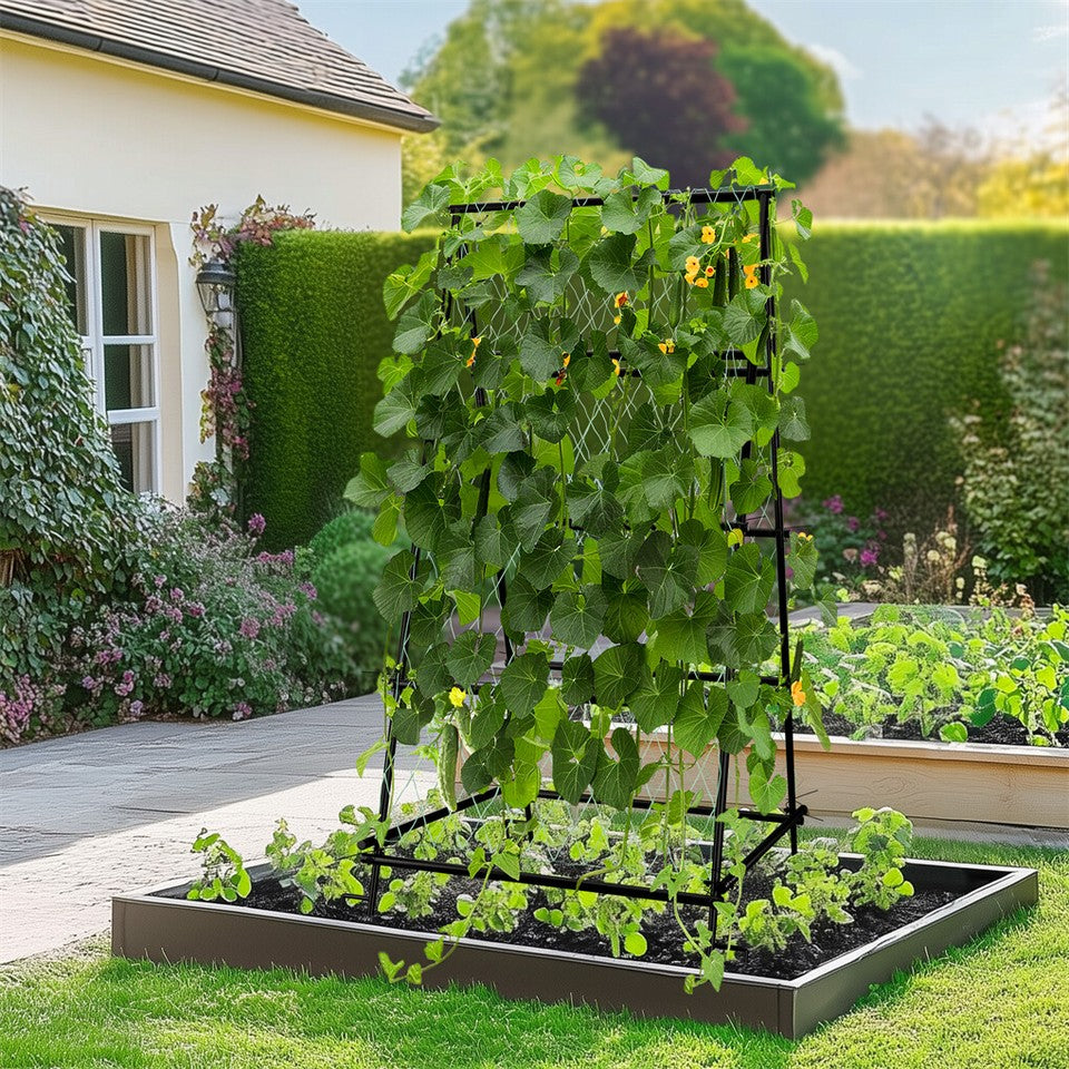 Garden Beds & Planters: FIN Metal Garden Trellis Arch Climbing Plants Grow Support Frame with Ground Spikes