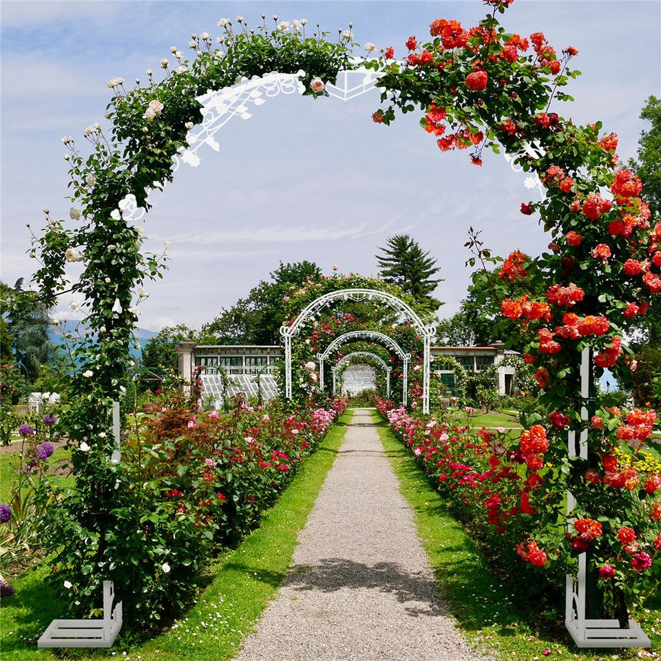 Other Wedding Decorations: Fin Xl Decorative Double Rails Iron Arbor Garden Archway Trellis Metal Wedding Arch