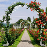 Other Wedding Decorations: Fin Xl Decorative Double Rails Iron Arbor Garden Archway Trellis Metal Wedding Arch