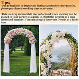 Other Wedding Decorations: Heavy Strong Metal Wedding Arch Garden Arbor Floral Backdrop Stand Indoor Outdoor