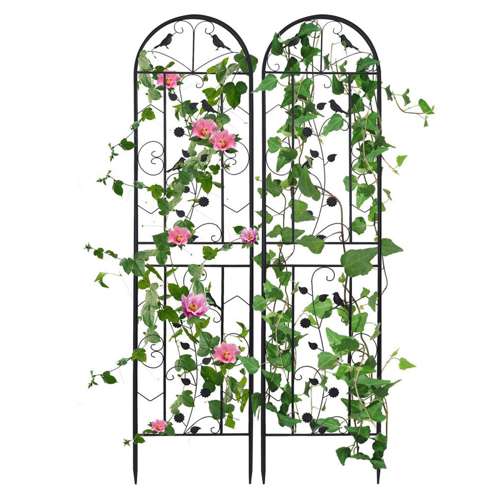 Garden Beds & Planters: Garden Trellis Climbing Plant Support Patio Wire Lattice Grid Panel Stake Fence