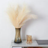 110CM Artificial Pampas Grass Large Tall Fluffy Faux Bulrush Reed Grass Bunch for Home Wedding Boho Decor (3PCS)