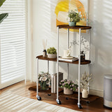 Gardening Accessories: FIN Vintage Plant Holder 3 Tiers Storage Shelf Unit with Lockable Casters Garden