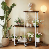 Gardening Accessories: FIN Vintage Plant Holder 3 Tiers Storage Shelf Unit with Lockable Casters Garden