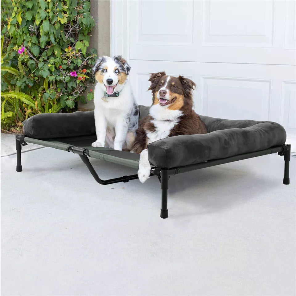Dog Training Aids: P&P Pet Cot with Bolster Support and Breathable Mesh Design for Dogs to Lounge