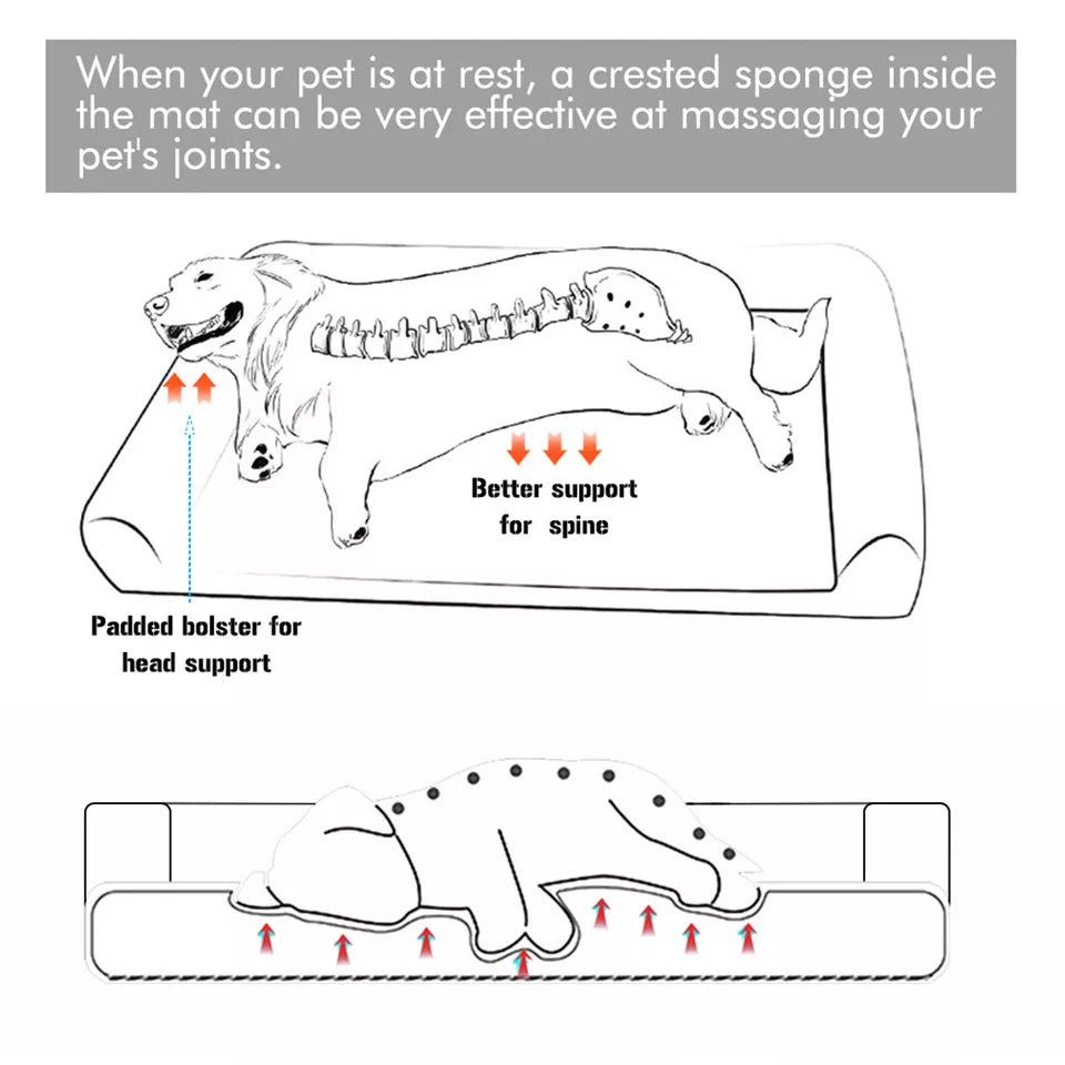 Dog Training Aids: P&P Pet Cot with Bolster Support and Breathable Mesh Design for Dogs to Lounge