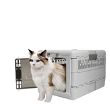 Cat Carriers & Crates: Portable Cat Travel Carrier Collapsible Plastic Kitten Pet Carry Crate