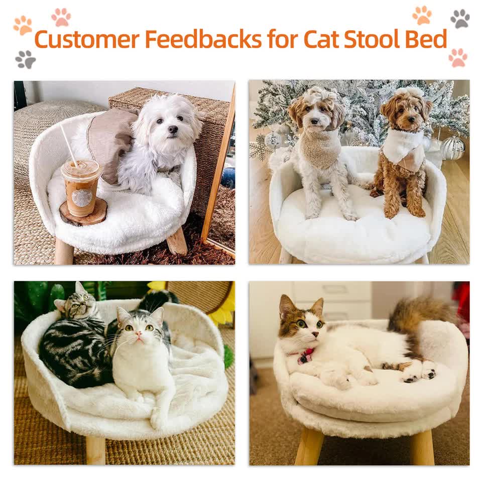 Dog Beds: Pet Sofa Bed with Plush Cushion & Wooden Legs