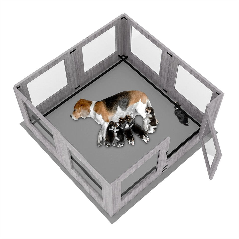 Dog Playpens & Gates: Fin Xl Safest Tempered Glass Dog Whelping Pen Box Shatter-Proof Playpen Exercise Box