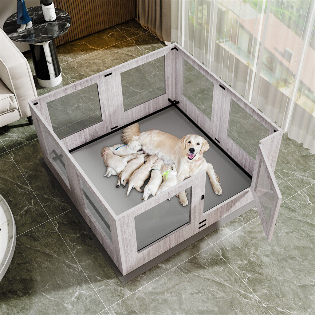 Dog Playpens & Gates: Fin Xl Safest Tempered Glass Dog Whelping Pen Box Shatter-Proof Playpen Exercise Box