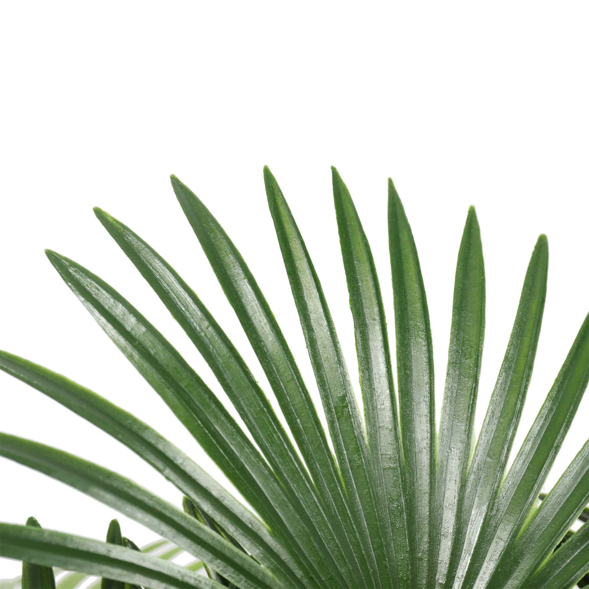 Garden Ornaments: Artificial Wide Leaf Fan Palm Tree 90cm