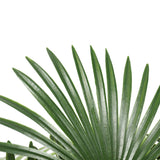 Garden Ornaments: Artificial Wide Leaf Fan Palm Tree 90cm