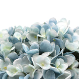 Artificial Flowers & Plants: Premium Faux Hydrangea With Glass Vase (Artificial Flowering Blue Hydrangea) 23cm