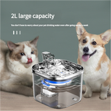 USB Powered Pet Water Fountain with Filter, Starter Kit (2L Capacity)