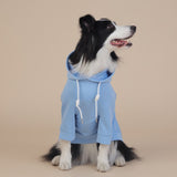 8XL Grey Cute Dog Hoodie with Adjustable Drawstring - Available in Various Sizes