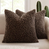 2 Pcs Coffee Cozy Teddy Boucle Cushion Cover - Plush Decorative Square Pillow Case for Sofa & Bed