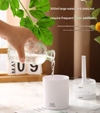 2-Piece White Mini Desktop Humidifier - Portable Mist Maker for Home and Car Use